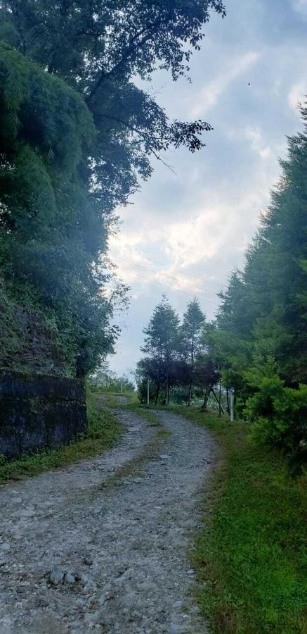 The Nettle And Fern Farmstay Pelling Kültér fotó