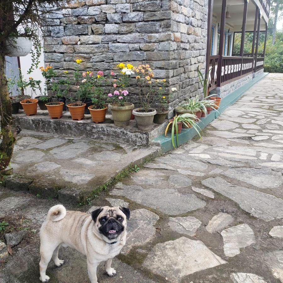 The Nettle And Fern Farmstay Pelling Kültér fotó